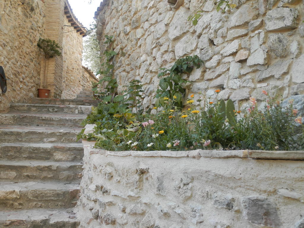 Residenza Di Paese Castello Del Poggio Hotel Ferentillo Екстериор снимка