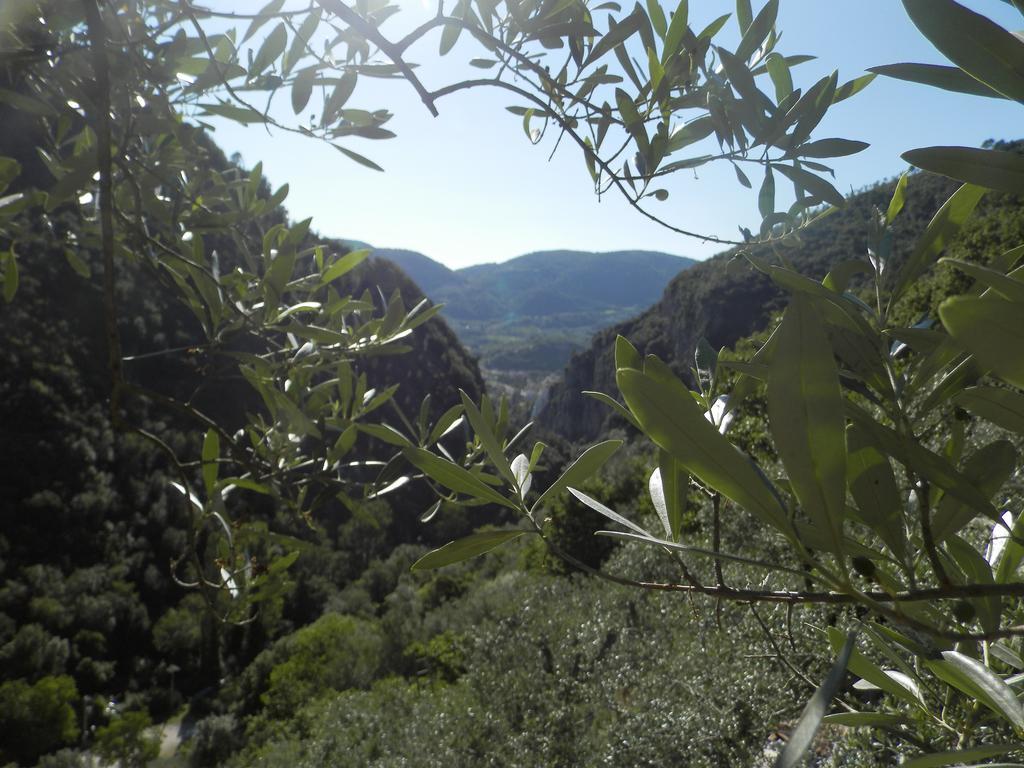 Residenza Di Paese Castello Del Poggio Hotel Ferentillo Екстериор снимка
