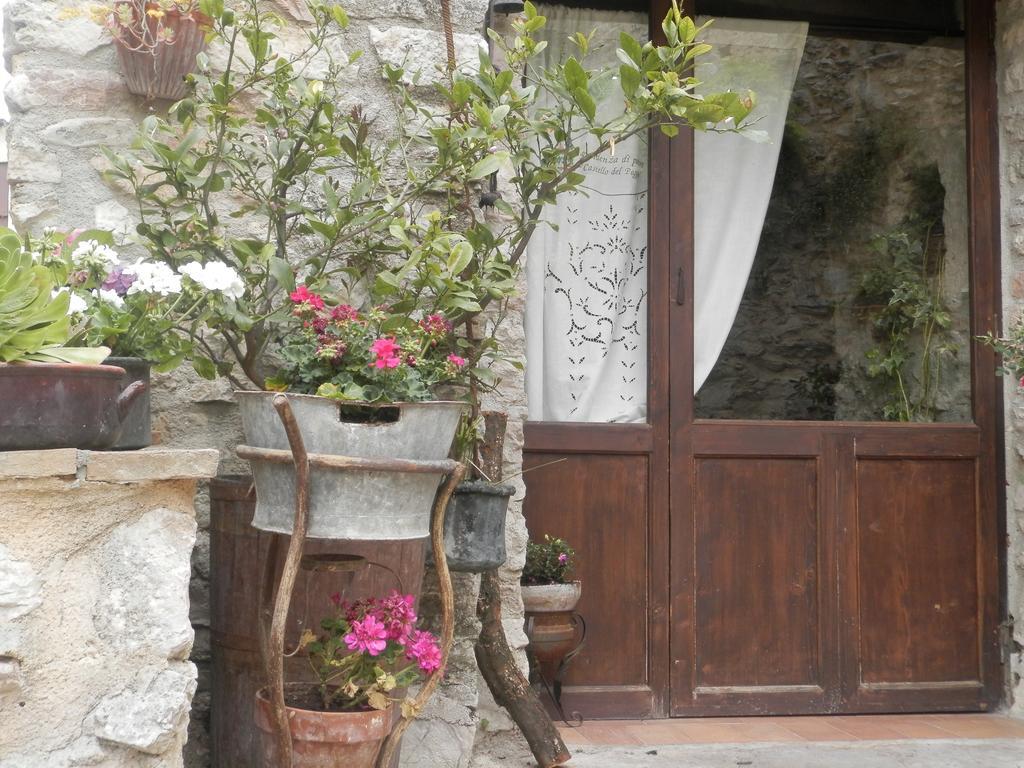 Residenza Di Paese Castello Del Poggio Hotel Ferentillo Екстериор снимка