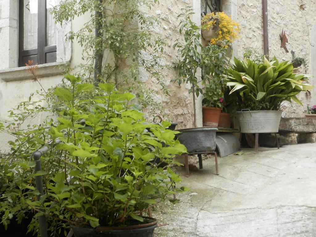 Residenza Di Paese Castello Del Poggio Hotel Ferentillo Екстериор снимка
